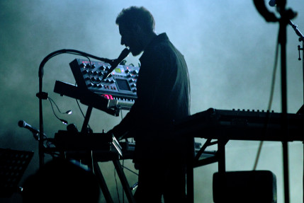 the wombats